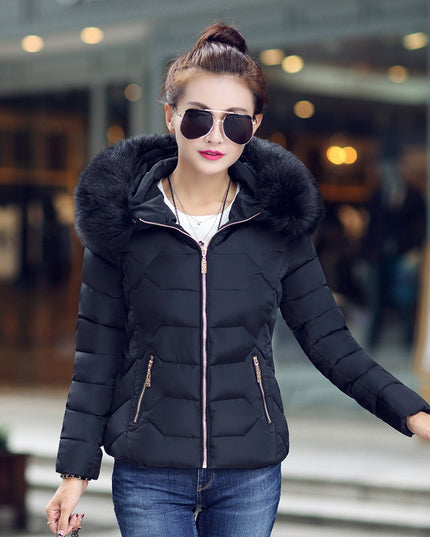 Hooded Down Padded Jacket