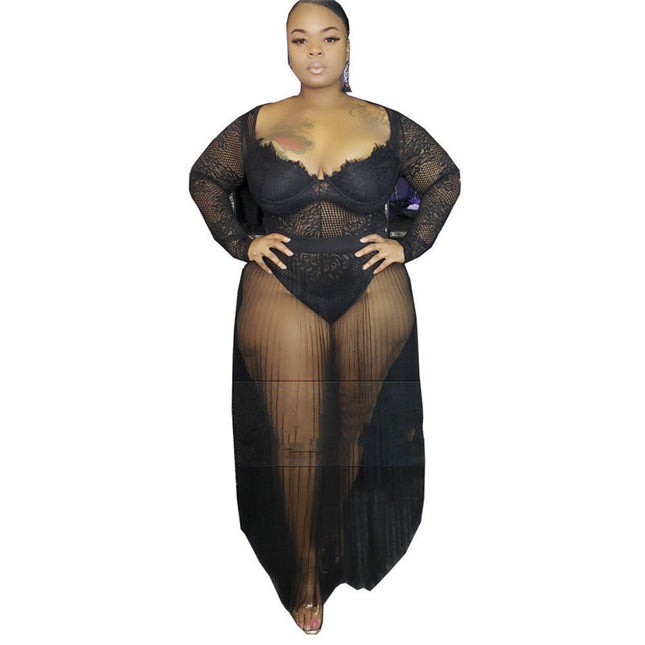 Mesh & Lace Plus Size Dress