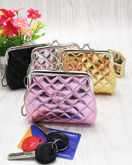 Metallic Coin Bag