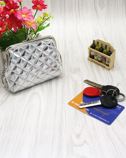 Metallic Coin Bag