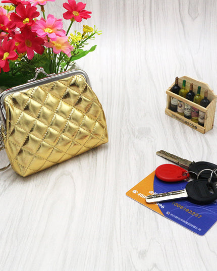 Metallic Coin Bag