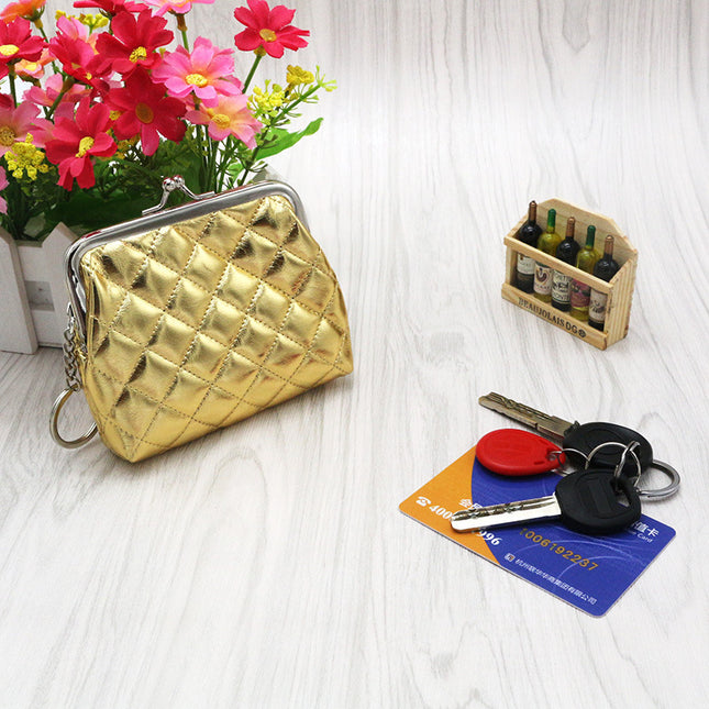 Metallic Coin Bag